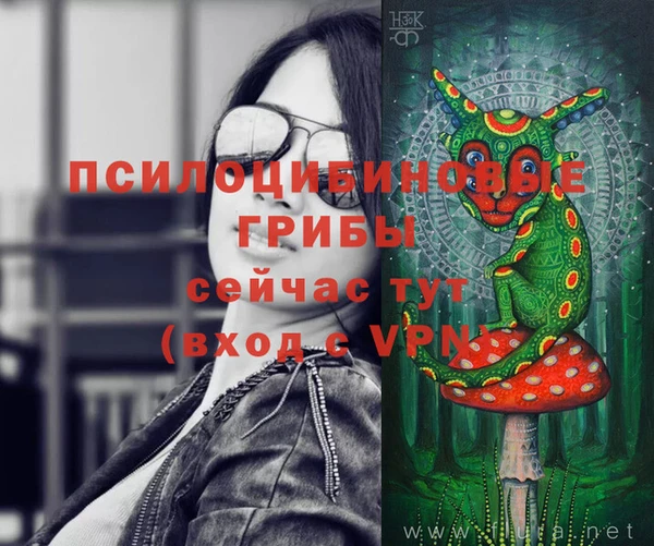 сатива Абаза
