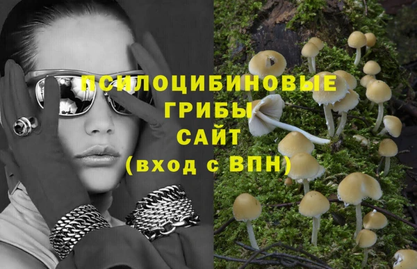 ПСИЛОЦИБИНОВЫЕ ГРИБЫ Алексин