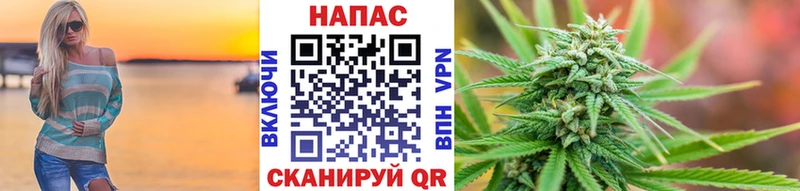 Бошки марихуана Bruce Banner  блэк спрут сайт  Питкяранта 